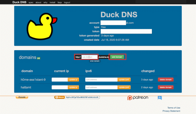 DUCK DNS Nombre de dominio